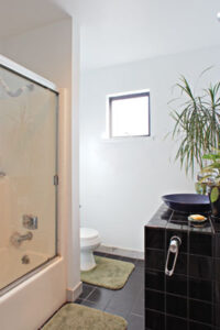 Can This Home Be Greened? Condo Conversion Image
